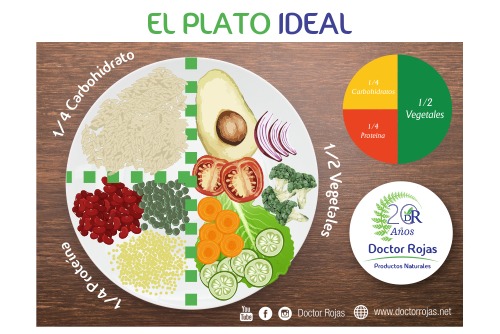 EL PLATO IDEAL