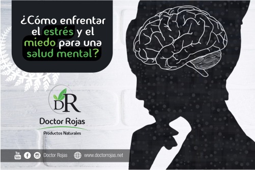 ¿CÓMO ENFRENTAR EL ESTRÉS Y EL MIEDO PARA UNA SALUD MENTAL?