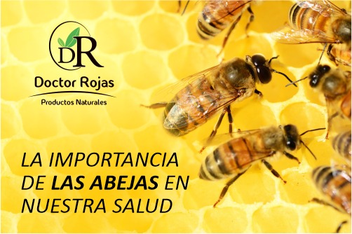 LA IMPORTANCIA DE LAS ABEJAS EN NUESTRA SALUD